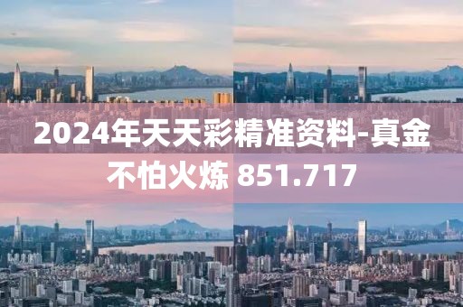 2024年天天彩精准资料-真金不怕火炼 851.717