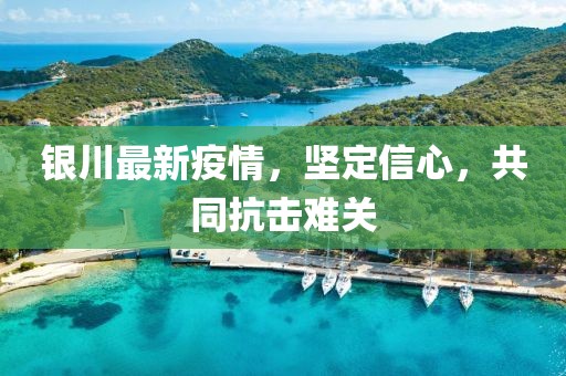 银川最新疫情，坚定信心，共同抗击难关