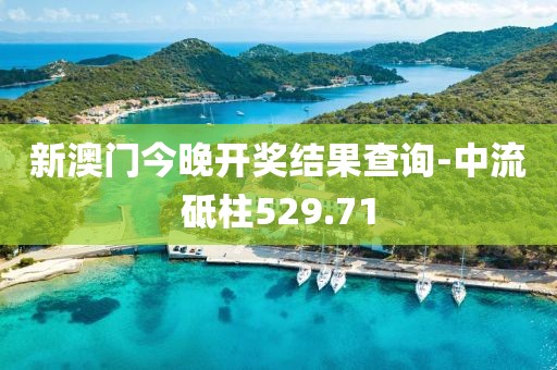 新澳门今晚开奖结果查询-中流砥柱529.71