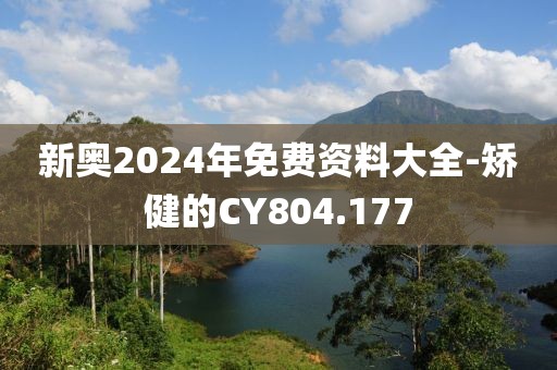 新奥2024年免费资料大全-矫健的CY804.177