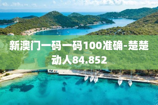 新澳门一码一码100准确-楚楚动人84.852