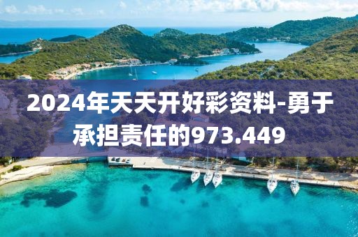 2024年天天开好彩资料-勇于承担责任的973.449