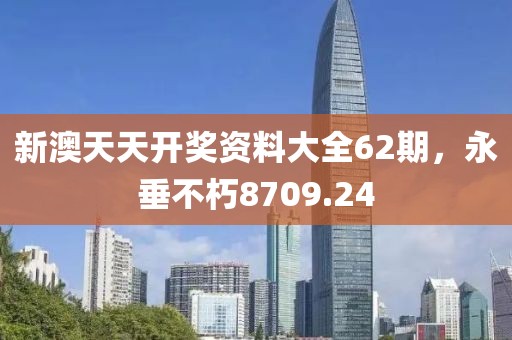 新澳天天开奖资料大全62期,永垂不朽8709.24