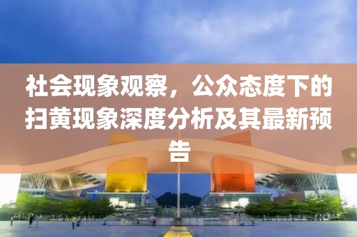 社会现象观察，公众态度下的扫黄现象深度分析及其最新预告