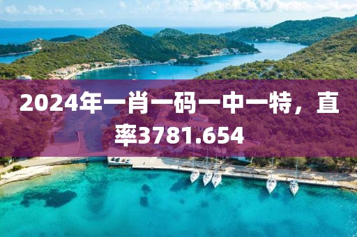 2024年一肖一码一中一特，直率3781.654