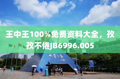 王中王100%免费资料大全，孜孜不倦JB6996.005