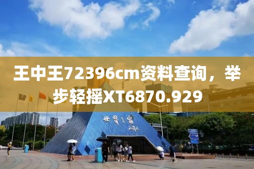 王中王72396cm资料查询，举步轻摇XT6870.929