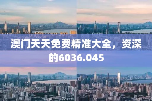 澳门天天免费精准大全，资深的6036.045