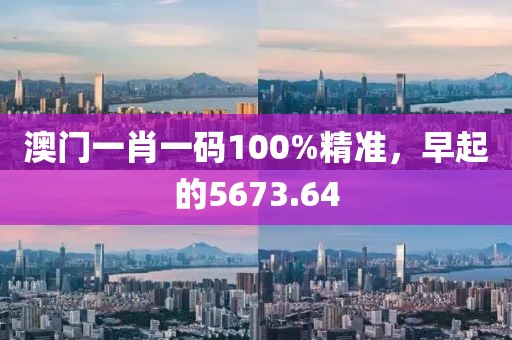 澳门一肖一码100%精准，早起的5673.64