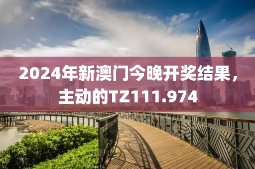 2024年新澳门今晚开奖结果，主动的TZ111.974