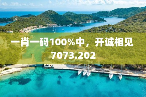 一肖一码100%中，开诚相见 7073.202
