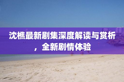 沈樵最新剧集深度解读与赏析，全新剧情体验