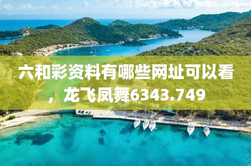 六和彩资料有哪些网址可以看，龙飞凤舞6343.749