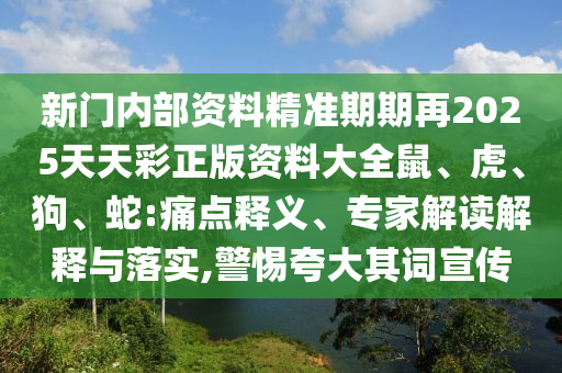 新澳门最精准正最精准龙门，理论考证解析_量身定制版85.91.13