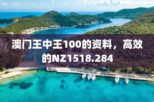 澳门王中王100的资料，高效的NZ1518.284