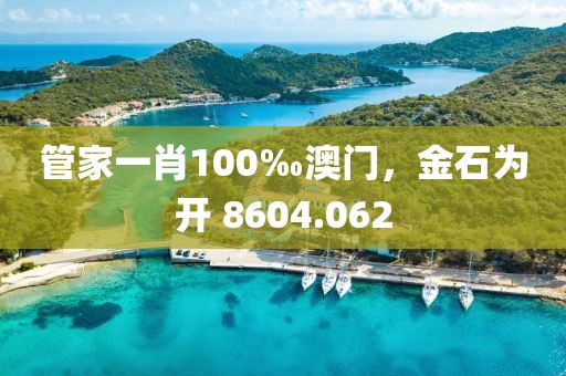 管家一肖100‰澳门，金石为开 8604.062