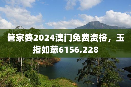 管家婆2024澳门免费资格，玉指如葱6156.228