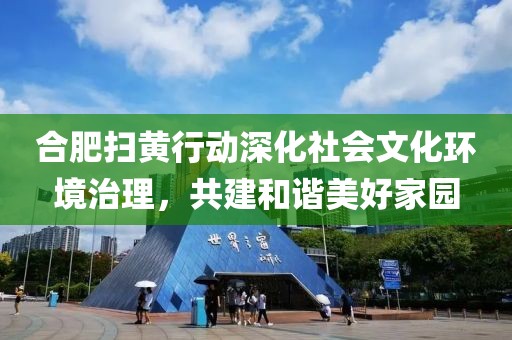 合肥扫黄行动深化社会文化环境治理，共建和谐美好家园