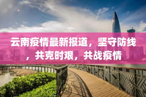 云南疫情最新报道，坚守防线，共克时艰，共战疫情