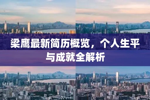 梁鹰最新简历概览，个人生平与成就全解析