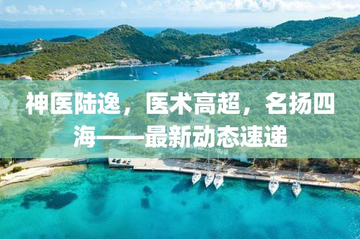 神医陆逸，医术高超，名扬四海——最新动态速递