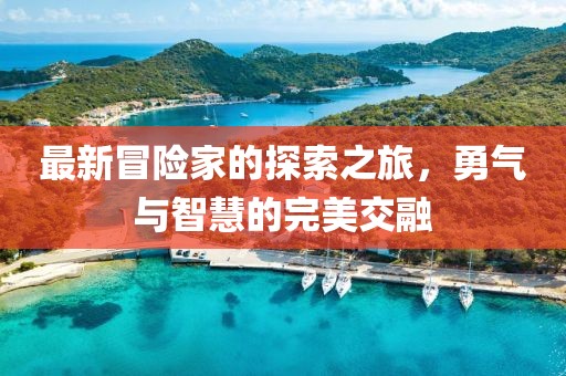 最新冒险家的探索之旅，勇气与智慧的完美交融