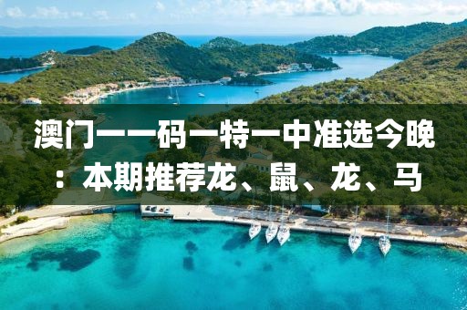 澳门一一码一特一中准选今晚：本期推荐龙、鼠、龙、马