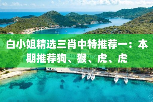 白小姐精选三肖中特推荐一：本期推荐狗、猴、虎、虎