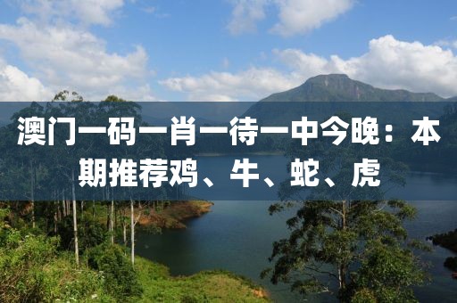 澳门一码一肖一待一中今晚：本期推荐鸡、牛、蛇、虎
