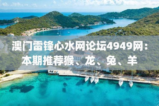 澳门雷锋心水网论坛4949网：本期推荐猴、龙、兔、羊