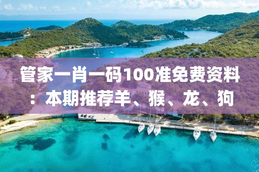 管家一肖一码100准免费资料：本期推荐羊、猴、龙、狗