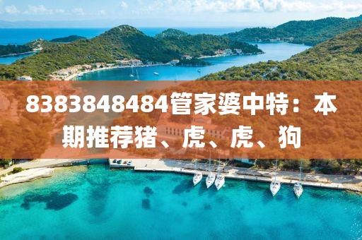 8383848484管家婆中特:本期推荐猪、虎、虎、狗