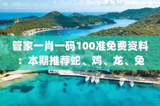 管家一肖一码100准免费资料：本期推荐蛇、鸡、龙、兔