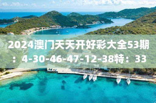 2024澳门天天开好彩大全53期:4-30-46-47-12-38特:33