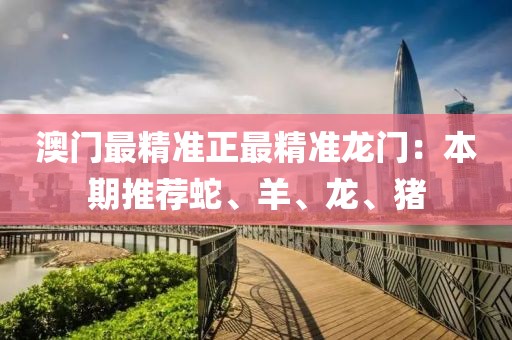 澳门最精准正最精准龙门：本期推荐蛇、羊、龙、猪