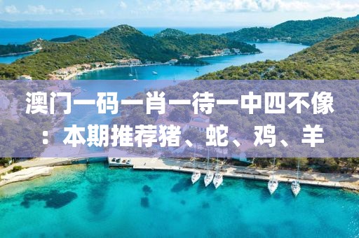 澳门一码一肖一待一中四不像：本期推荐猪、蛇、鸡、羊