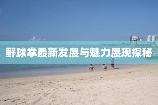 野球拳最新发展与魅力展现探秘