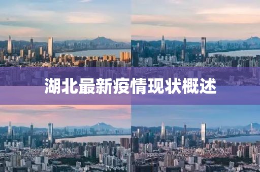 湖北最新疫情现状概述