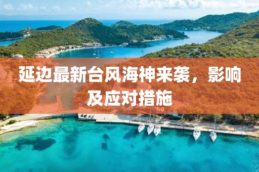 延边最新台风海神来袭，影响及应对措施