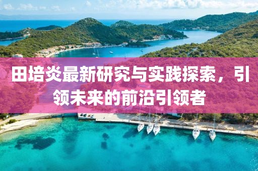 田培炎最新研究与实践探索，引领未来的前沿引领者