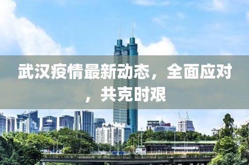 武汉疫情最新动态，全面应对，共克时艰