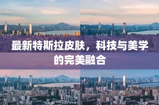 最新特斯拉皮肤，科技与美学的完美融合