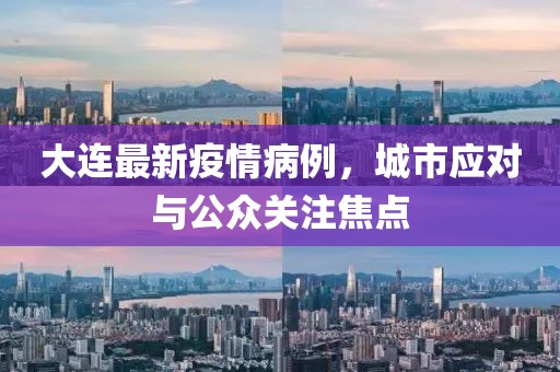 大连最新疫情病例，城市应对与公众关注焦点