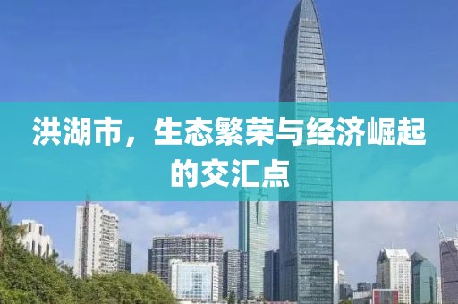 洪湖市，生态繁荣与经济崛起的交汇点