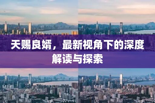 天赐良婿，最新视角下的深度解读与探索