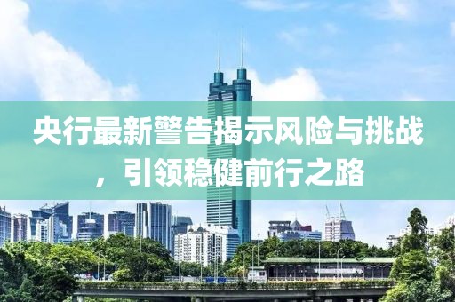 央行最新警告揭示风险与挑战，引领稳健前行之路