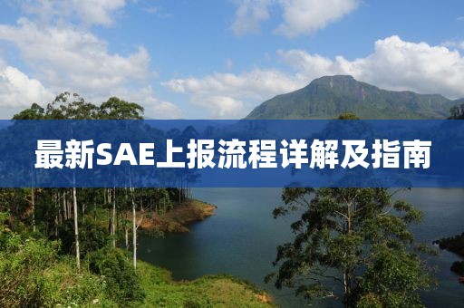 最新SAE上报流程详解及指南