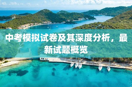 中考模拟试卷及其深度分析，最新试题概览