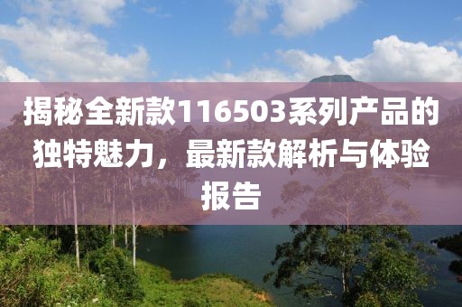揭秘全新款116503系列产品的独特魅力，最新款解析与体验报告