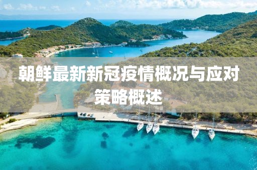 朝鲜最新新冠疫情概况与应对策略概述